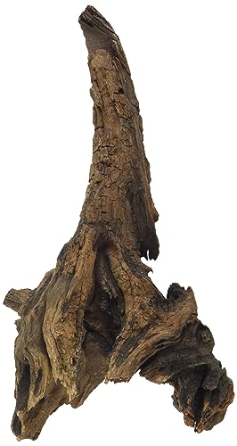Croci Amtra A8047548 Mystic Wood, 25 - 30 cm von Croci
