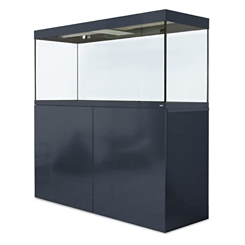 Amtra Alux 450 Led Grey Combi - 450L professionelles Glasaquarium mit Deckel und Holzgehäuse, für Süß- und Salzwasserfische, Profi-Set, graue Farbe von Amtra