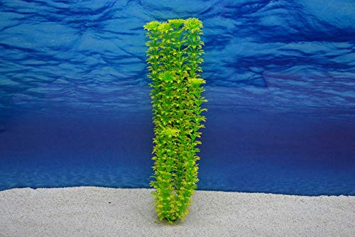 Amtra Cabomba XL 36cm künstliche Pflanze Dekoration Aquarium von Amtra