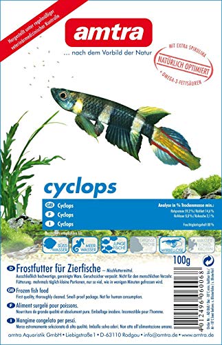 Amtra Cyclops Blister 10x100g (1kg) von Amtra