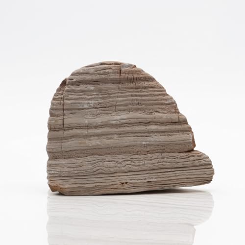 Amtra Felsen Thousand Layer natürliche Dekoration für Aquarien Wild, Kalkstein, ideal für Zen-Gärten, Gewicht 0,6-2 kg von Amtra