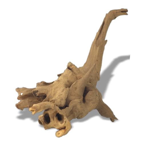 Amtra Guinea Holz – Einheitsgröße 10-25 cm, Dekoration aus Naturholz für Aquarien, Zierstamm, Dekoration für Terrarien Amtra Guinea Holz – Einheitsgröße 10-25 cm, Dekoration aus Naturholz für Aquarien, Zierstamm, Dekoration für Terrarien von Amtra