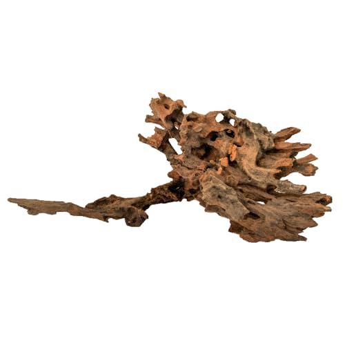 Amtra Holz Honeycomb - Größe L 50-70 cm, Dekoration aus Naturholz für Aquarien, Naturstamm Ornament, Dekoration für Terrarien von Amtra