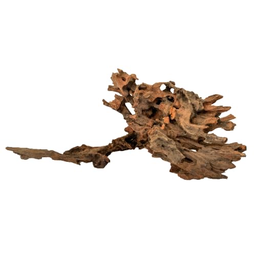 Amtra Holz Honeycomb - Größe L 50-70 cm, Dekoration aus Naturholz für Aquarien, Naturstamm Ornament, Dekoration für Terrarien Amtra Holz Honeycomb - Größe L 50-70 cm, Dekoration aus Naturholz für Aquarien, Naturstamm Ornament, Dekoration für Terrarien von Amtra