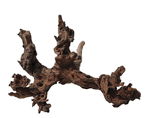 Amtra Legno Mystic Wood - Größe XL 50-70 cm, Dekoration aus Naturholz für Aquarien, Naturstamm Ornament, Dekoration für Terrarien von Amtra