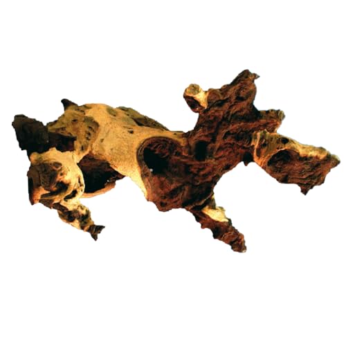 Amtra Legno Mopani - Größe L 40-65 cm, Dekoration aus Naturholz für Aquarien, Naturstamm Ornament, Dekoration für Terrarien von Amtra