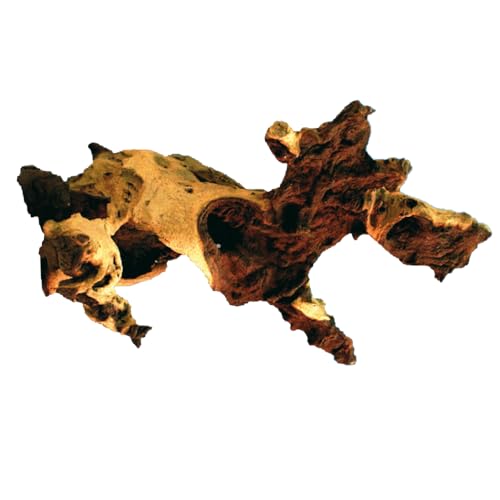 Amtra Legno Mopani - Größe L 40-65 cm, Dekoration aus Naturholz für Aquarien, Naturstamm Ornament, Dekoration für Terrarien Amtra Legno Mopani - Größe L 40-65 cm, Dekoration aus Naturholz für Aquarien, Naturstamm Ornament, Dekoration für Terrarien von Amtra