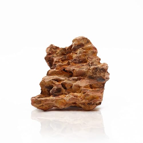 Amtra Rock Bamboo – Natürliche Dekoration für Aquarien, kein Kalkstein, ideal für Zen-Gärten, Gewicht 3,5 – 6 kg von Amtra