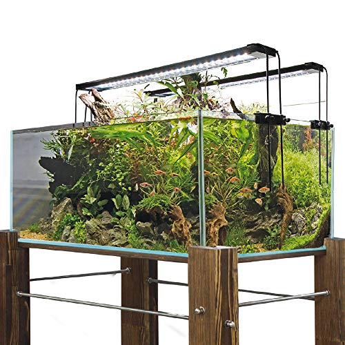 Amtra Shallow - Wanne aus extraklarem Glas, inklusive Polstermatte, 75x50x30 cm / 110 Liter Amtra Shallow - Wanne aus extraklarem Glas, inklusive Polstermatte, 75x50x30 cm / 110 Liter von Amtra