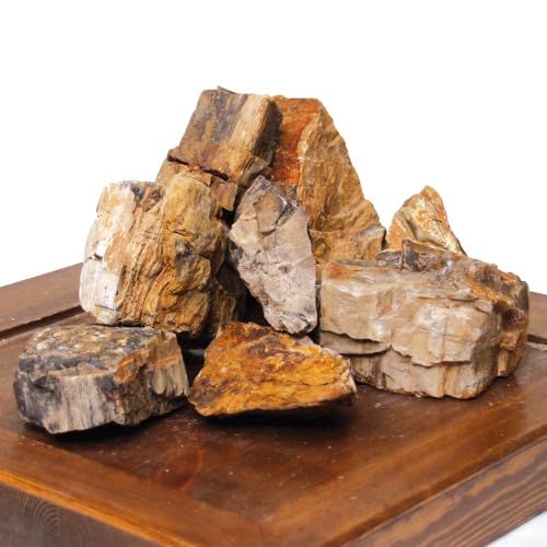 Amtra - Versteinerter Stein, Aquariendekoration, natürlich, kein Kalkstein, 0,5 KG von Croci