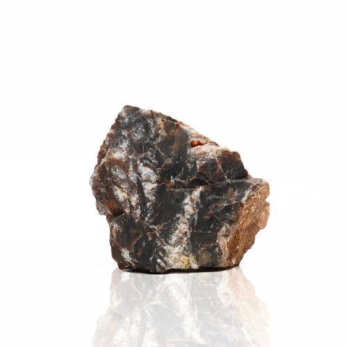 Amtra Versteinerter Rock, mittel, 720 gm von Amtra