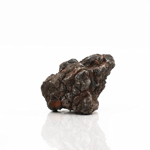 Atra Pagodenstein 300-600 g Atra Pagodenstein 300-600 g von Amtra
