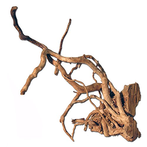Amtra Red Wood - Größe S 15-25 cm, Natürliche Holzwurzel für Aquarien, dekoratives Naturholz, Einrichtung für Terrarien von Amtra