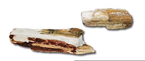 Wave A8011065 Stonewood Color Holzkiste, 6-12 cm / 15-25 cm, 30 Stück von Wave