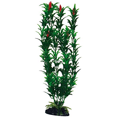 Wave A8011254 Plant Classic Egeria, 27 cm Wave A8011254 Plant Classic Egeria, 27 cm von Amtra