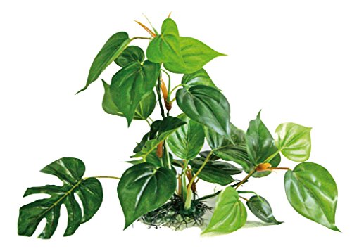 Wave A8011402 Plant Replica Anubi, 30 cm Wave A8011402 Plant Replica Anubi, 30 cm von Amtra