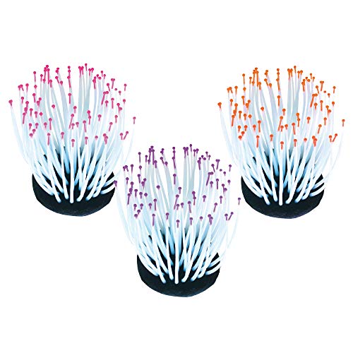 Wave A8011612 Fluo Reef Anemone Mixed Colors, 7.2 x 7.2 x 9 cm Wave A8011612 Fluo Reef Anemone Mixed Colors, 7.2 x 7.2 x 9 cm von Amtra