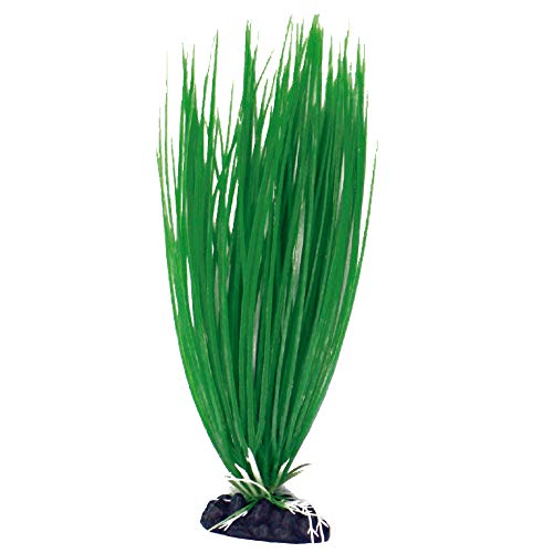 Wave A8011934 Plant Classic Acorus, M Wave A8011934 Plant Classic Acorus, M von Amtra