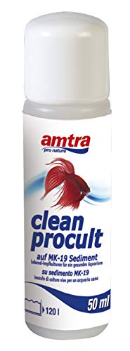 amtra clean procult 50ml von Amtra