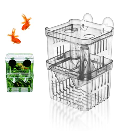 Zuchtbox für Aquarium, Baby-Fischtrenner für Aquarium, Züchterbox, transparenter Kunststoff, Frittierbrutkasten, Brutkasten für kleine Babyfische, Garnelen, Clownfische und Guppy Zuchtbox für Aquarium, Baby-Fischtrenner für Aquarium, Züchterbox, transparenter Kunststoff, Frittierbrutkasten, Brutkasten für kleine Babyfische, Garnelen, Clownfische und Guppy von Amusingtao