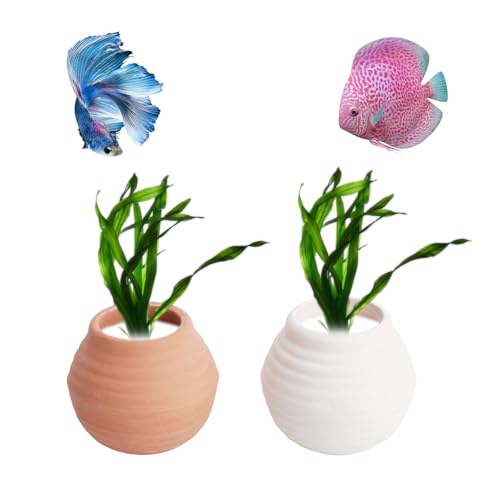 AnRui Kleines Töpferglas zur Befestigung von Wasserpflanzen, Anti-loating Keramik-Aquarium-Dekoration (rot + weiß, 2 Stück) von AnRui