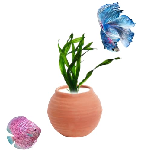 AnRui Mittelgroßes Töpferglas zur Befestigung von Wasserpflanzen, Anti-loating Keramik Aquarium Landschaftsbau Ornamente Aquarium Dekoration, Rot von AnRui