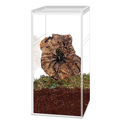 Anbaituor Reptil Fütterungsbox - Acryl-Reptilienzuchtbox-Transparent Reptil Zuchtfall - für Spide, Skorpion, Eidechse, Gehörnter Frosch, Käfer, Tausendfüßler (7 x 7 x 15 cm) von Anbaituor
