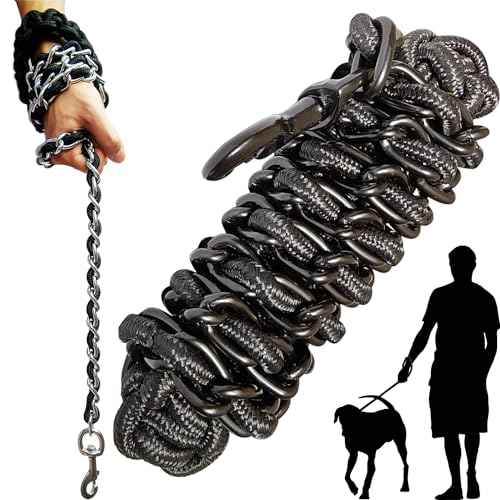 Hundeleine, Metall-Leinen, mit Haustierhalsband, Trainingsleinen, strapazierfähig, Anti-Biss-Kette, Seilhaken für mittelgroße und große Hunde von AncBace