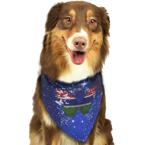 Gambia Gambian Butterfly Flag Weiches Hundehalstuch, Dreieckstuch, Haustierzubehör für Hunde und Katzen30 Gambia Gambian Butterfly Flag Weiches Hundehalstuch, Dreieckstuch, Haustierzubehör für Hunde und Katzen30 von Anceky