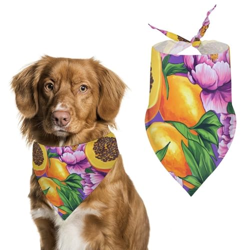 Hundehalstuch mit Blumen, Papaya-Früchten, verstellbar, dreieckig, für kleine und mittelgroße Hunde und Katzen von Anceky