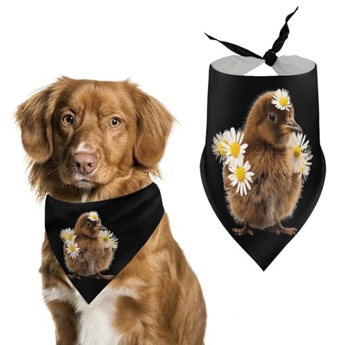 Hundehalstücher mit Kiwi-Vogel und Gänseblümchen-Aufdruck, originelles Haustier-Dreieckstuch, Welpen-Taschentuch für kleine, mittelgroße und große Hunde, Katzen, Kaninchen Hundehalstücher mit Kiwi-Vogel und Gänseblümchen-Aufdruck, originelles Haustier-Dreieckstuch, Welpen-Taschentuch für kleine, mittelgroße und große Hunde, Katzen, Kaninchen von Anceky