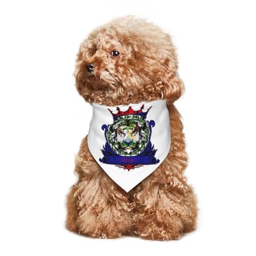 Löwe mit Flagge von Belize, Welpen-Halstuch, Hunde- und Katzenhalstücher, Sommer-Hundeschal für kleine, mittelgroße und große Hunde, atmungsaktiv, weich, bequem, Haustierbekleidung, Zubehör, 30 x 70 c von Anceky
