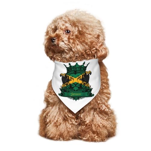 Welpen-Halstuch mit Löwe und Jamaika-Flagge, Hunde- und Katzenhalstücher, Sommer-Hundeschal für kleine, mittelgroße und große Hunde, atmungsaktiv, weich, bequem, Haustierbekleidung, Zubehör, 30 x 70 c von Anceky