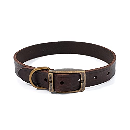 ANCOL Latigo Halsband Havana 35-43 cm Größe 4 von Ancol