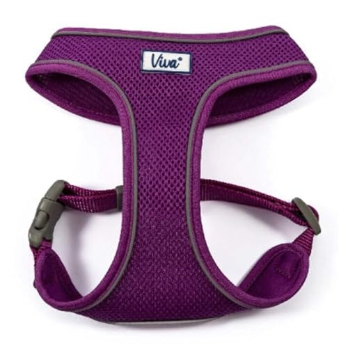 Ancol Viva Hundegeschirr, bequem, reflektierend, atmungsaktiv, Netzgewebe, 44-57 cm, Größe M, Violett Ancol Viva Hundegeschirr, bequem, reflektierend, atmungsaktiv, Netzgewebe, 44-57 cm, Größe M, Violett von Ancol