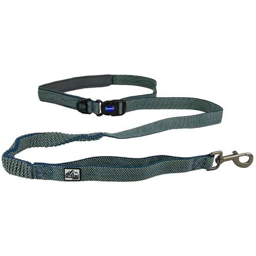 Ancol Extreme+ Hundeleine, super stark, stoßdämpfend, bequemer Neopren-gepolsterter Griff, Welpenzubehör, 180 x 2,5 cm von Ancol