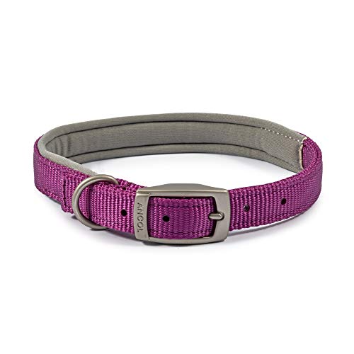 Ancol Gepolstertes Viva Halsband mit Schnalle, lila, 35-43 cm, Größe 4 Ancol Gepolstertes Viva Halsband mit Schnalle, lila, 35-43 cm, Größe 4 von Ancol