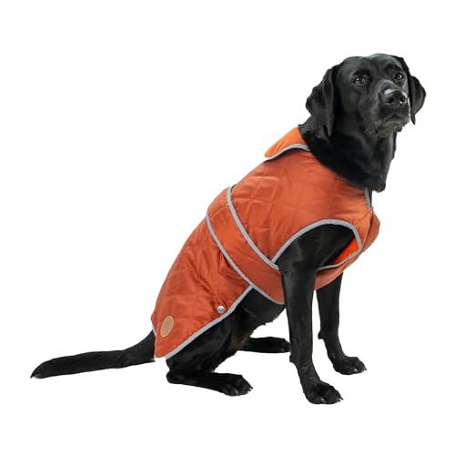 Ancol Heritage Gesteppter Hundemantel in Terrakotta, wasserdichte Fleece-gefütterte Haustierjacke mit Reißverschluss-Lochung, reflektierende Kanten, Welpenbekleidung, Größe XL Ancol Heritage Gesteppter Hundemantel in Terrakotta, wasserdichte Fleece-gefütterte Haustierjacke mit Reißverschluss-Lochung, reflektierende Kanten, Welpenbekleidung, Größe XL von Ancol