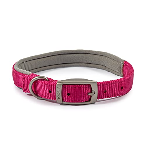 Ancol Heritage Halsband, gepolstert, Nylon Ancol Heritage Halsband, gepolstert, Nylon von Ancol