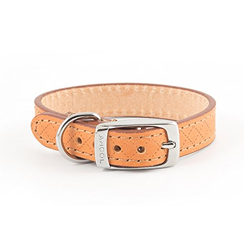 Ancol Heritage Hundehalsband, Diamant, X-Small/Medium/Large/Small, Schwarz/Rot/Braun/Hellbraun Ancol Heritage Hundehalsband, Diamant, X-Small/Medium/Large/Small, Schwarz/Rot/Braun/Hellbraun von Ancol