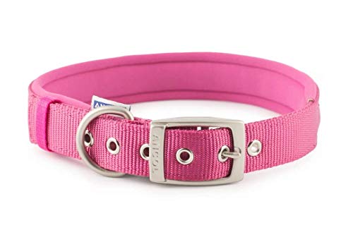 Ancol Heritage Hundehalsband Nylon, gepolstert, Medium, Raspberry von Ancol