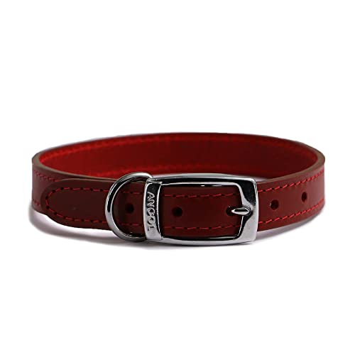 Ancol Heritage Hundehalsband, strapazierfähiges Leder, für Welpen, Haustier-Trainingszubehör, 45–54 cm, Größe 6, Rot Ancol Heritage Hundehalsband, strapazierfähiges Leder, für Welpen, Haustier-Trainingszubehör, 45–54 cm, Größe 6, Rot von Ancol