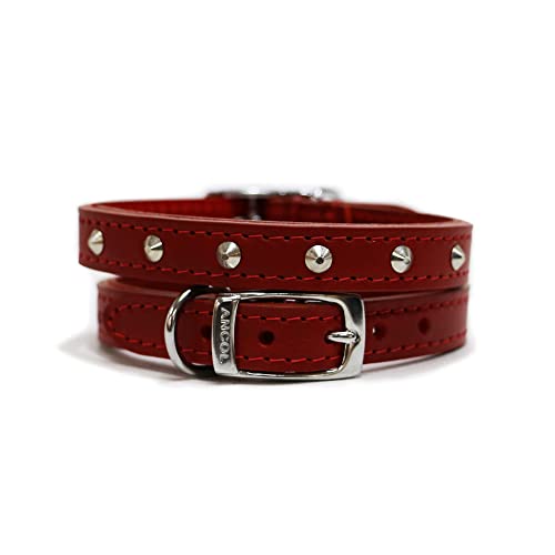 Ancol Lederhalsband mit Nieten, genäht, für Hunde, Größe 4, Rot Ancol Lederhalsband mit Nieten, genäht, für Hunde, Größe 4, Rot von Ancol