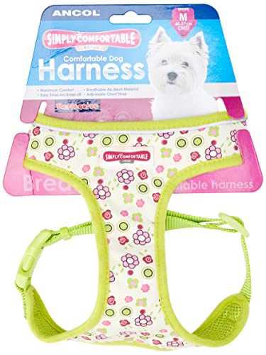 Ancol Limettenblumen-Hundegeschirr, bequem und atmungsaktiv, Größe M, 44-57 cm Ancol Limettenblumen-Hundegeschirr, bequem und atmungsaktiv, Größe M, 44-57 cm von Ancol