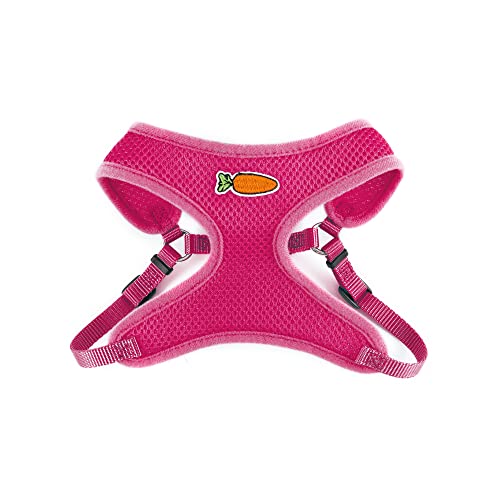 Ancol Kleintier-Geschirr und Leine, mittelrosa, 1 kg von Ancol