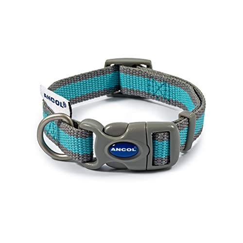 Ancol Blau & Grau aus Halsband, Größe 1–2 (Hundehals: 20–30 cm) von Ancol