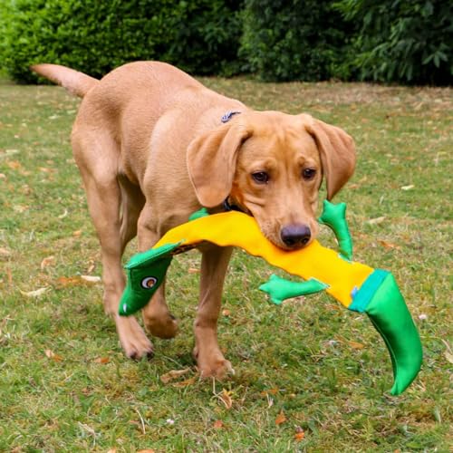 Ancol Hundespielzeug Tough Krokodil, 70 cm, quietschend, recycelte Füllung von Ancol
