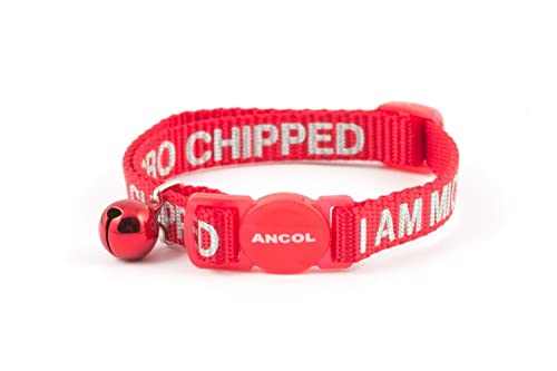 Ancol I Am Microchipped Katzen-Halsband mit Sicherheitsschnalle, Rot von Ancol