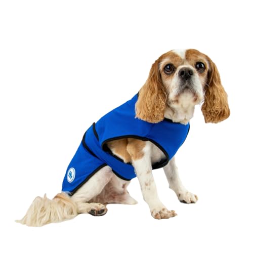 Ancol Kühlung Hund Weste Coat, 2 X Große Ancol Kühlung Hund Weste Coat, 2 X Große von Ancol