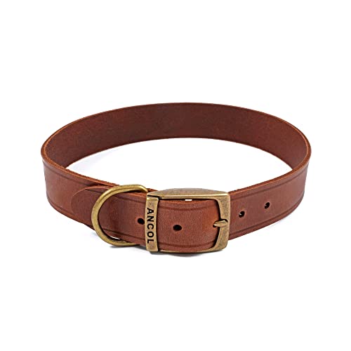 Ancol Latigo Halsband Kastanie 45-54 cm Größe 6 Ancol Latigo Halsband Kastanie 45-54 cm Größe 6 von Ancol